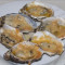 Chargrilled Oysters