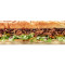 Bbq Pulled Pork Subway Footlong 174;