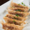 Pan Fried Pork Gyoza Dumplings