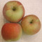 Tart Green Apples