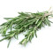 Rosemary sprig