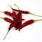 Dried chilies