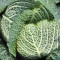 Savoy Cabbage