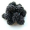 Blackberry