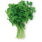 Parsley fresh