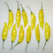 Yellow Peppers