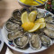 Oysters