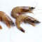 Shrimp Shrimp