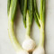 Green Onion