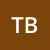 telmo-brito