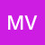 mylinh-v-2